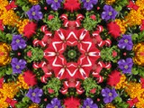 Kaleidoscope #11 Petunias